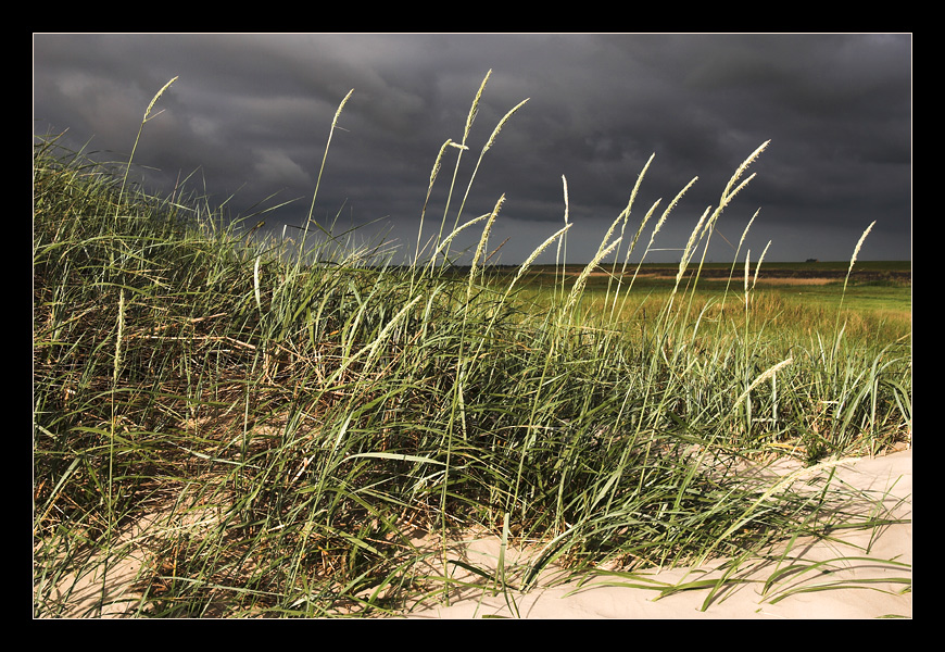 sonne & wolken