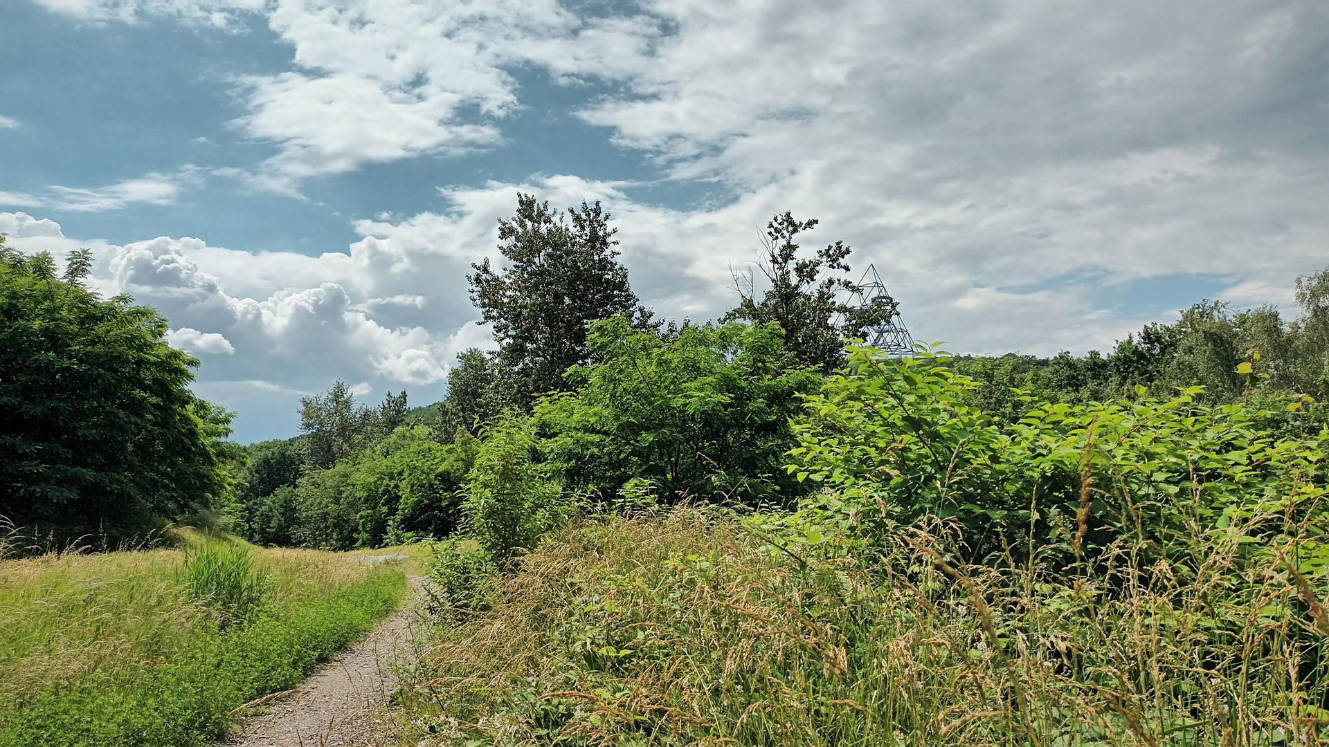 Sonne-Wolken-Mix...