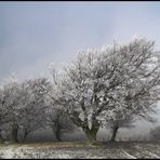 Sonne, Wolken, Nebel