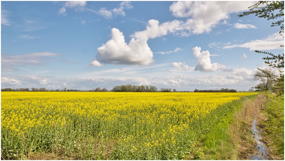 Sonne, Wolken, Raps