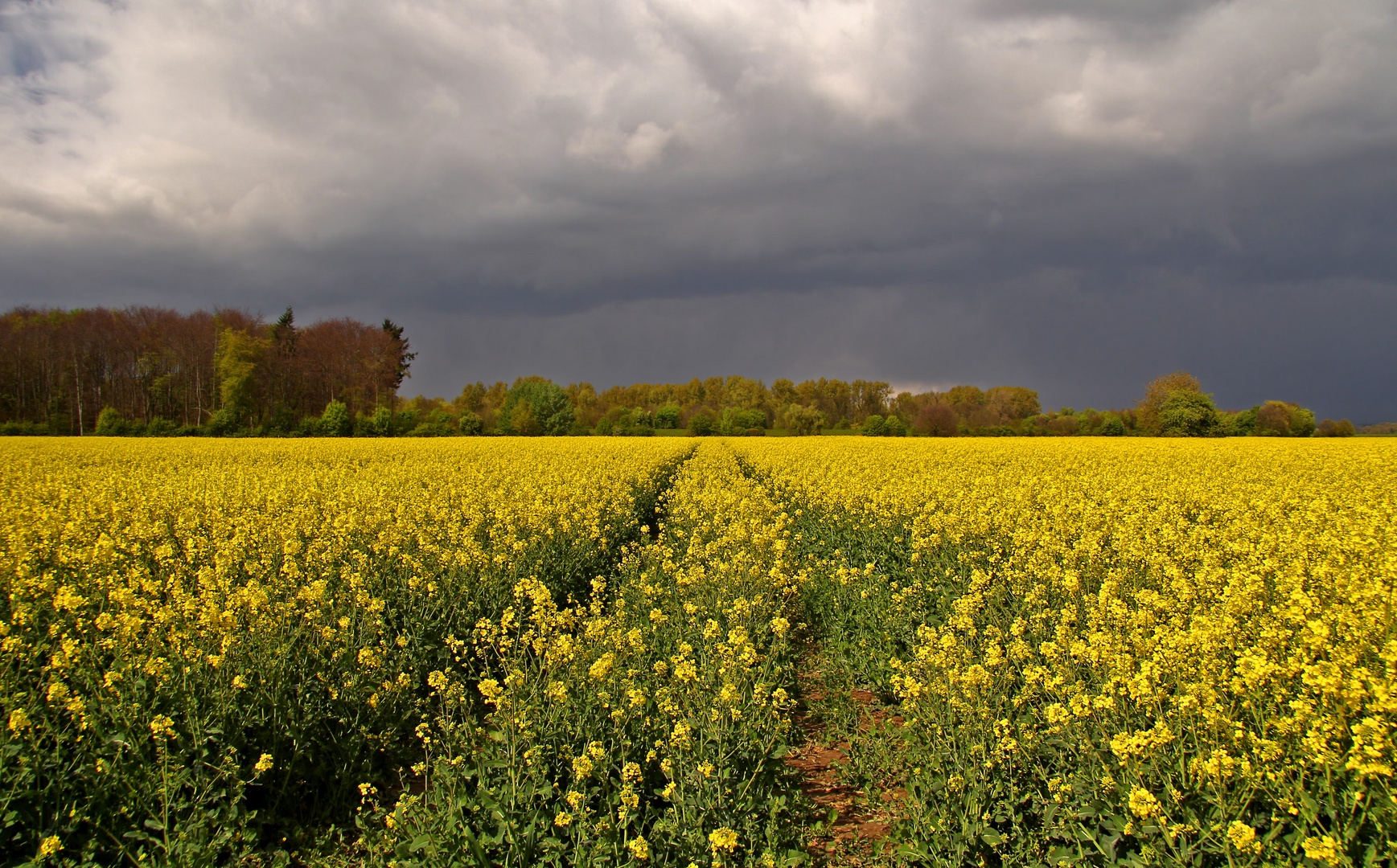 Sonne, Wolken, Raps (2)