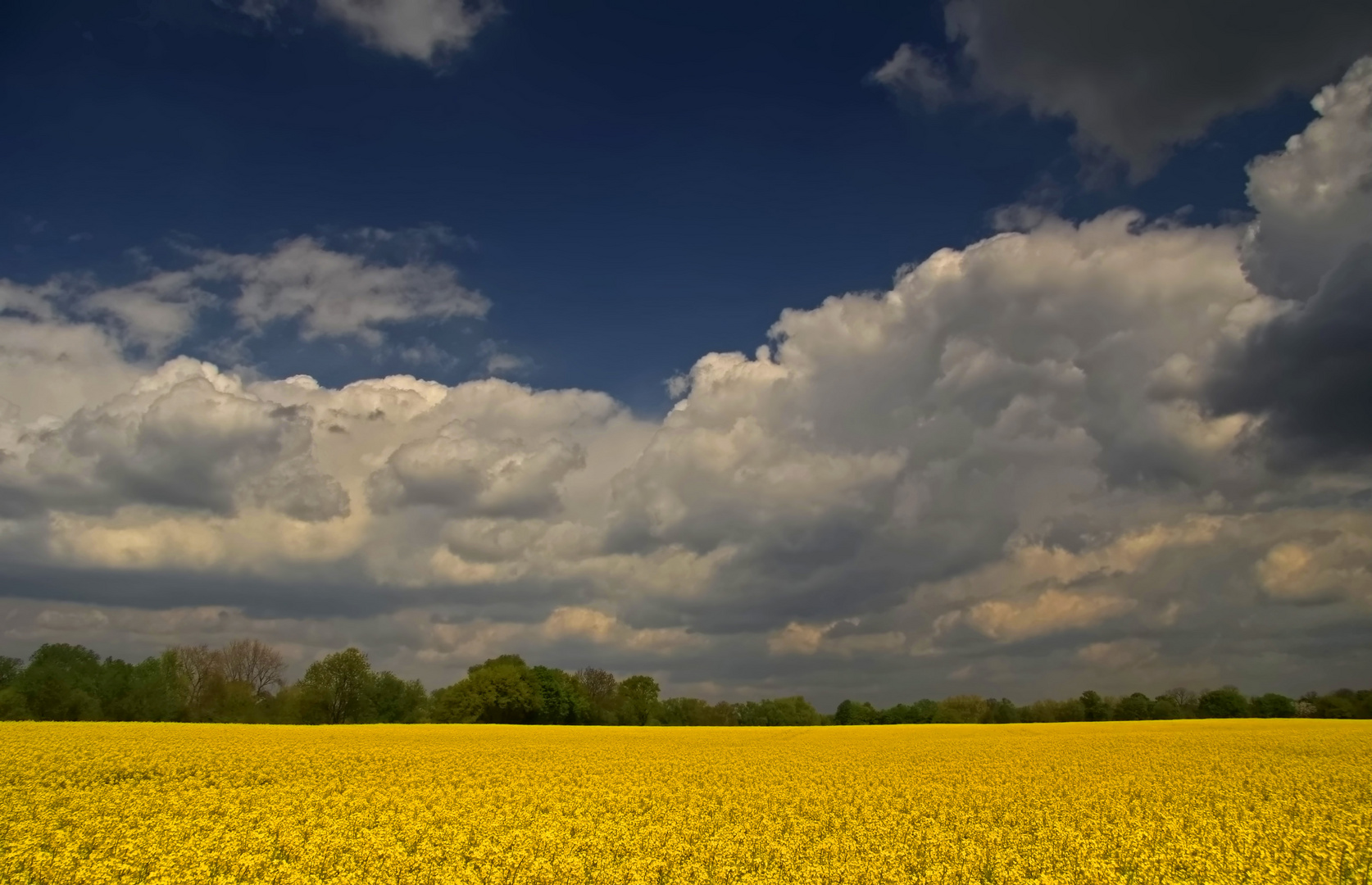 Sonne, Wolken, Raps