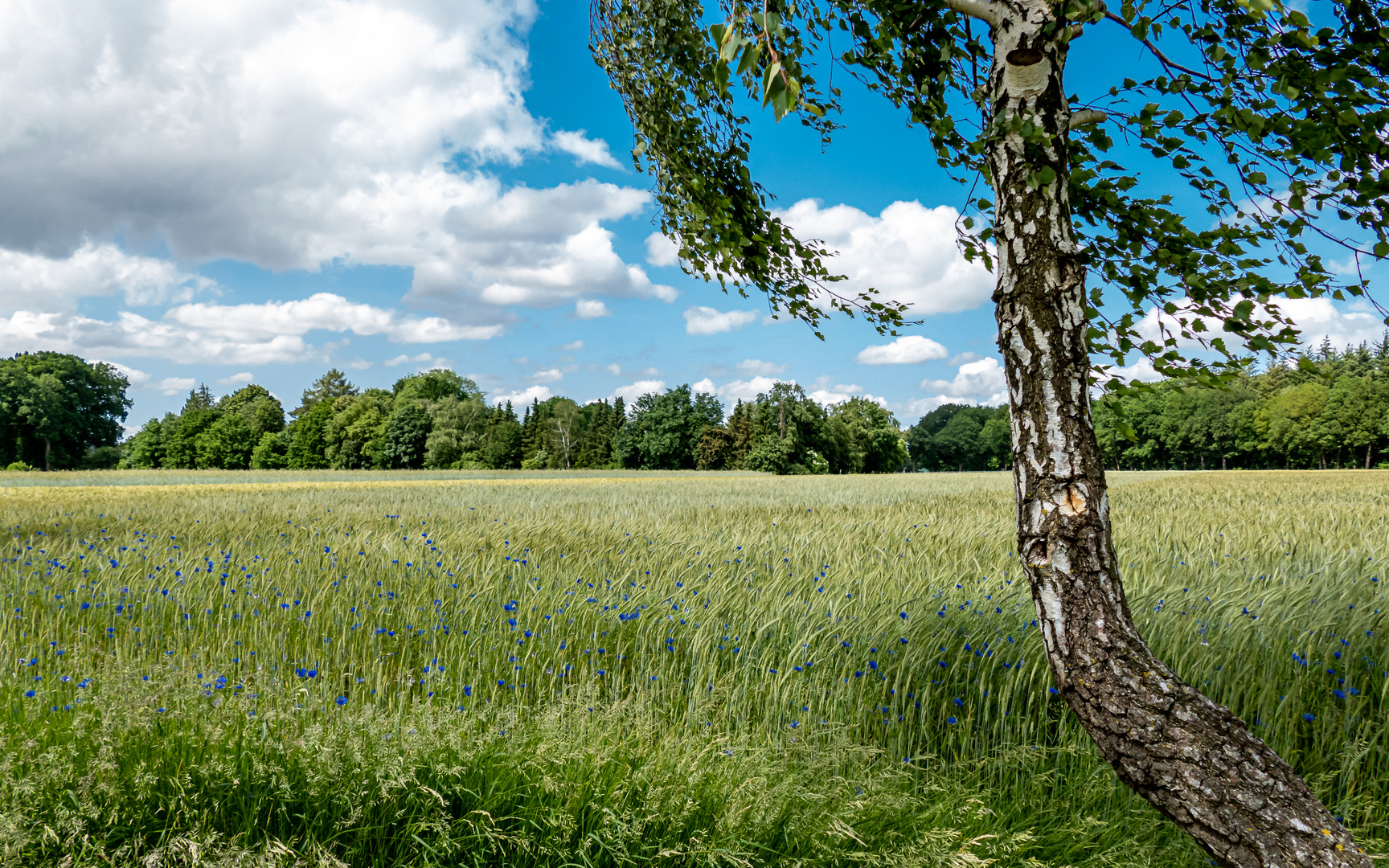 Sonne, Wolken und viel Wind ...