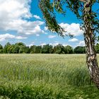 Sonne, Wolken und viel Wind ...