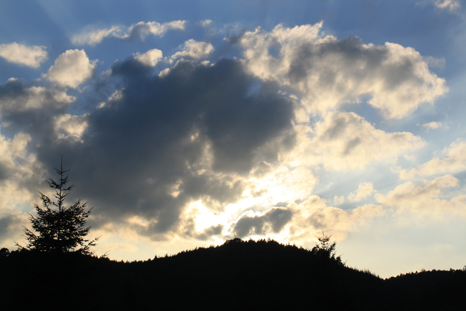 Sonne - Wolken - Wald