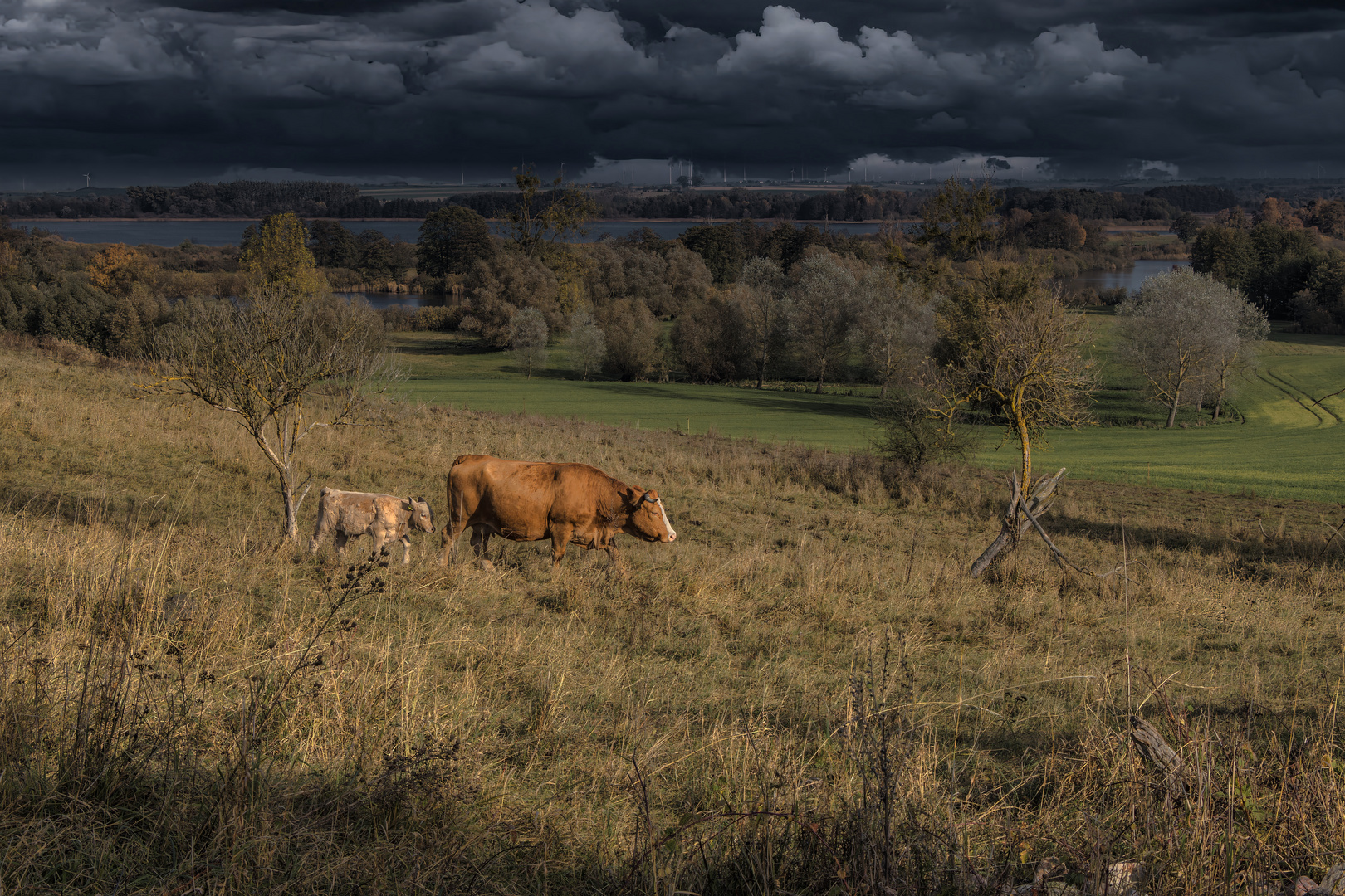 Sonne - Wolken - Wind - Mix in der Uckermark