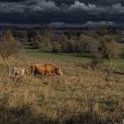 Sonne - Wolken - Wind - Mix in der Uckermark