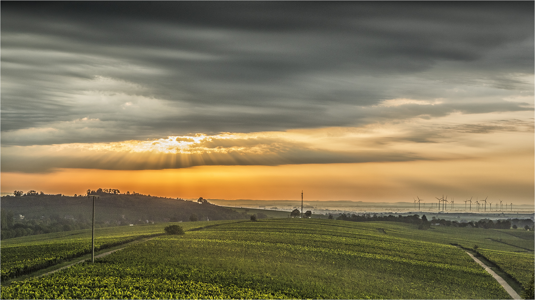 sonne, wolken,wein und spargel