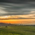 sonne, wolken,wein und spargel