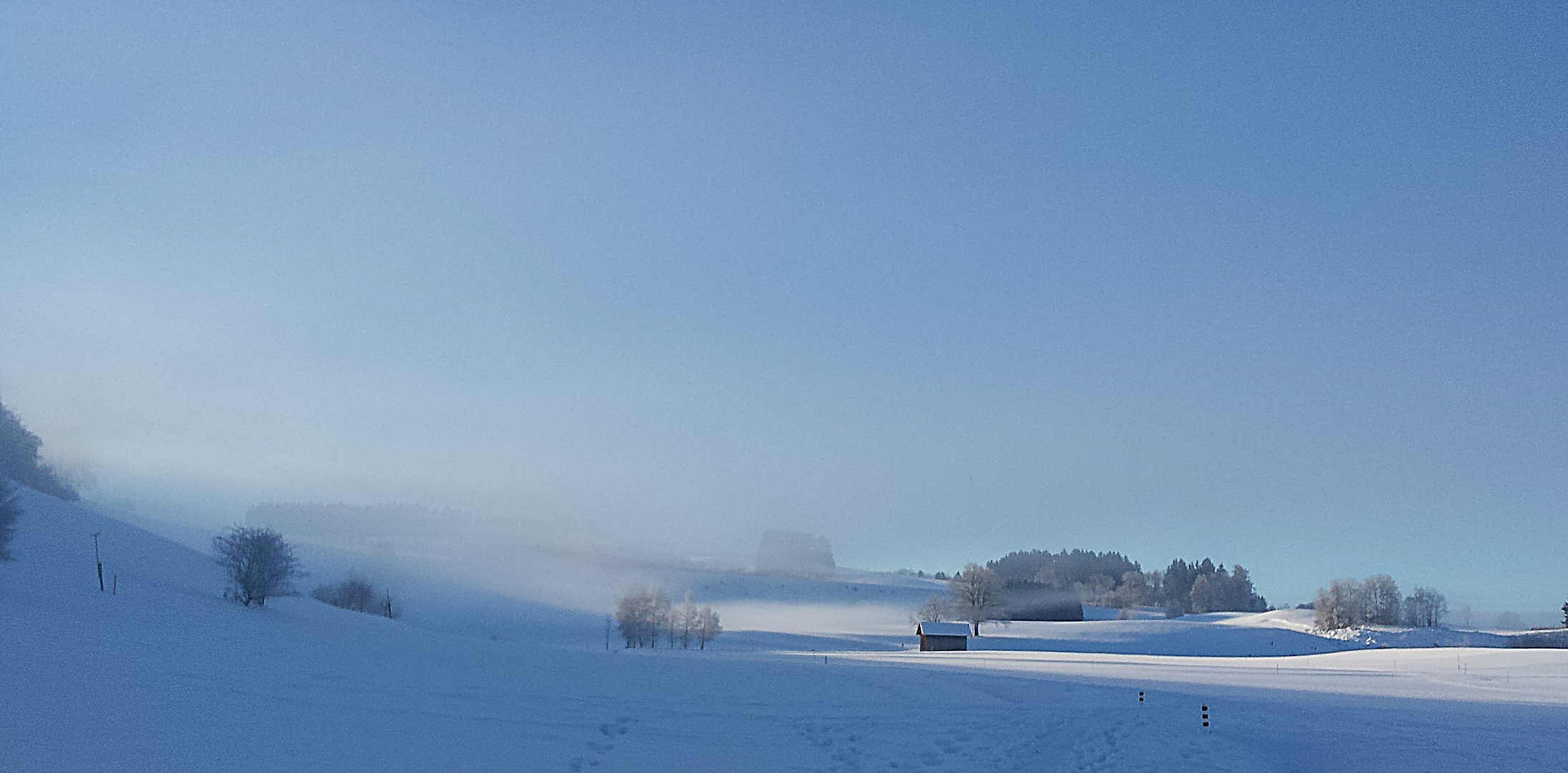 Sonne zieht Winternebel