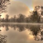 Sonneaufgang im Wald