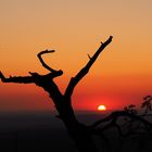 Sonne,Berg,Baum