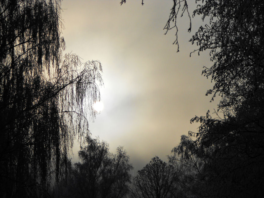 Sonne...kommt nicht durch