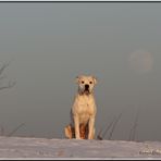 Sonne,Mond u Socke