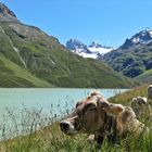 Sonnen am Silvretta-Stausee