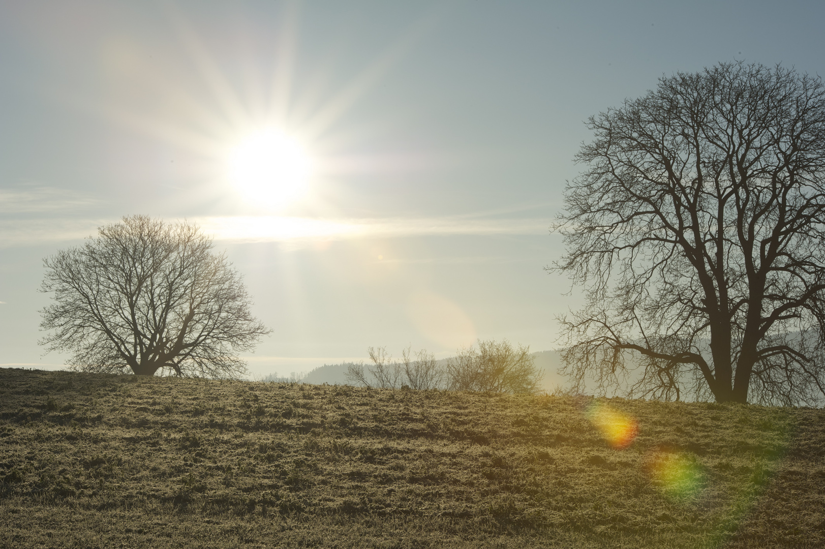 Sonnen Aufgang im Winter