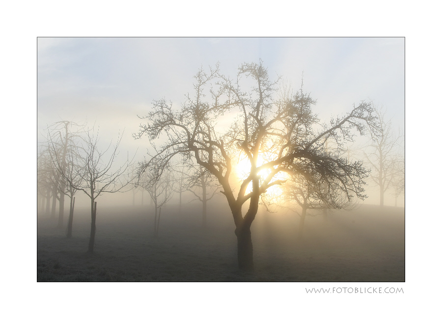 Sonnen Nebel