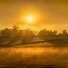 Sonnen-Nebel-Feld