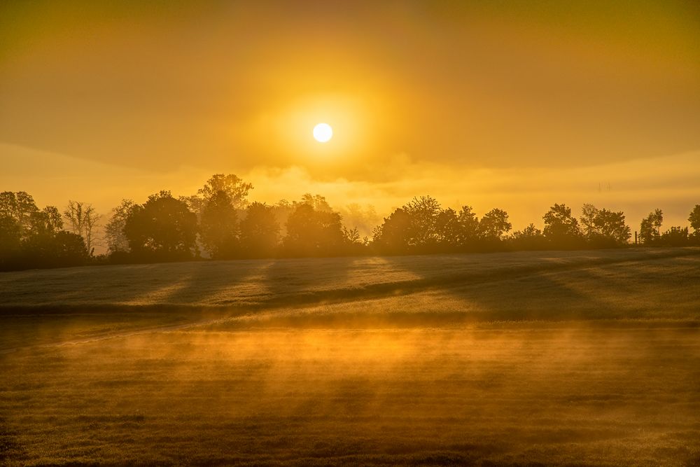 Sonnen-Nebel-Feld