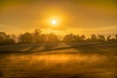 Sonnen-Nebel-Feld