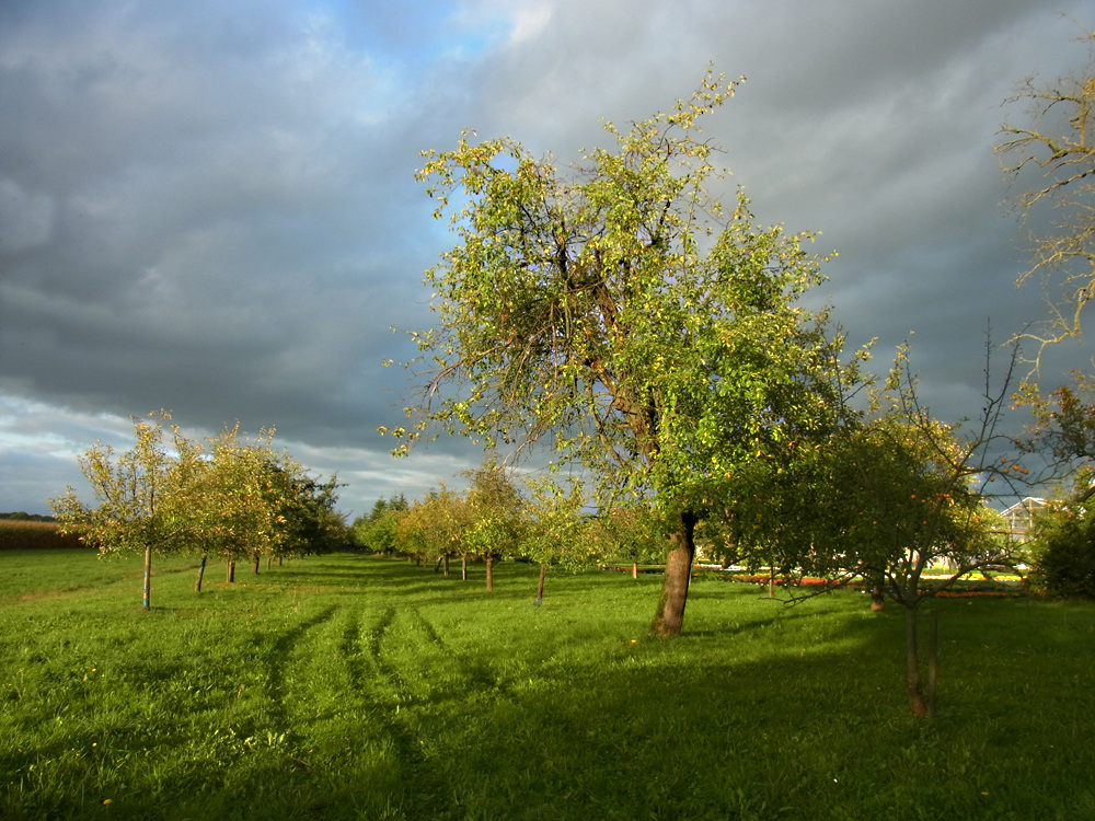 Sonnen-Regen-Himmel