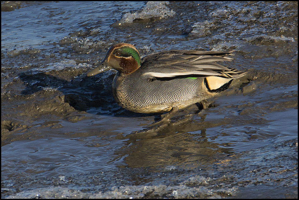 Sonnen-Schlamm-Bad . . .