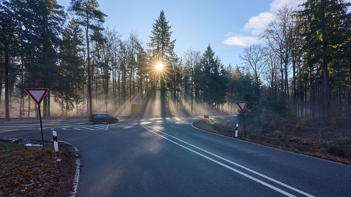 Sonnen-Sternfahrt im Pfälzerwald, ist schon schön, wenn man…