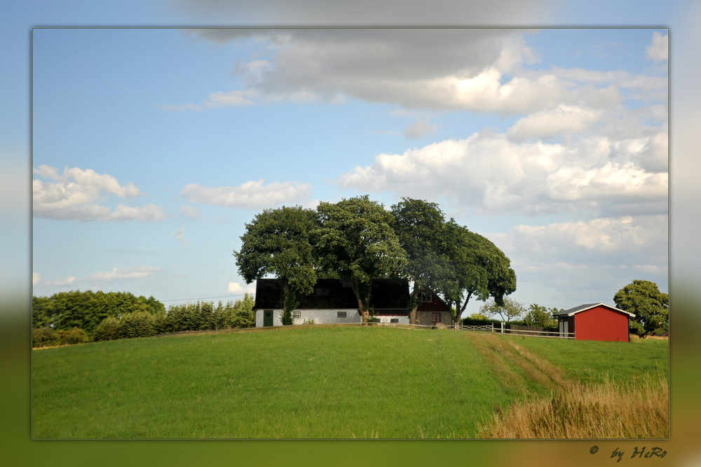 Sonnen- und Regenschutz