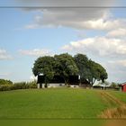 Sonnen- und Regenschutz