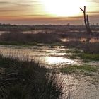 Sonnen Untergang im Moor