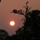 Sonnen-untergang im Pantanal, Brasilien