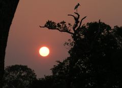 Sonnen-untergang im Pantanal, Brasilien