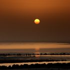 Sonnen untergang in Abu Dhabi