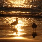 Sonnen-Wasser-Spiegel am Strand