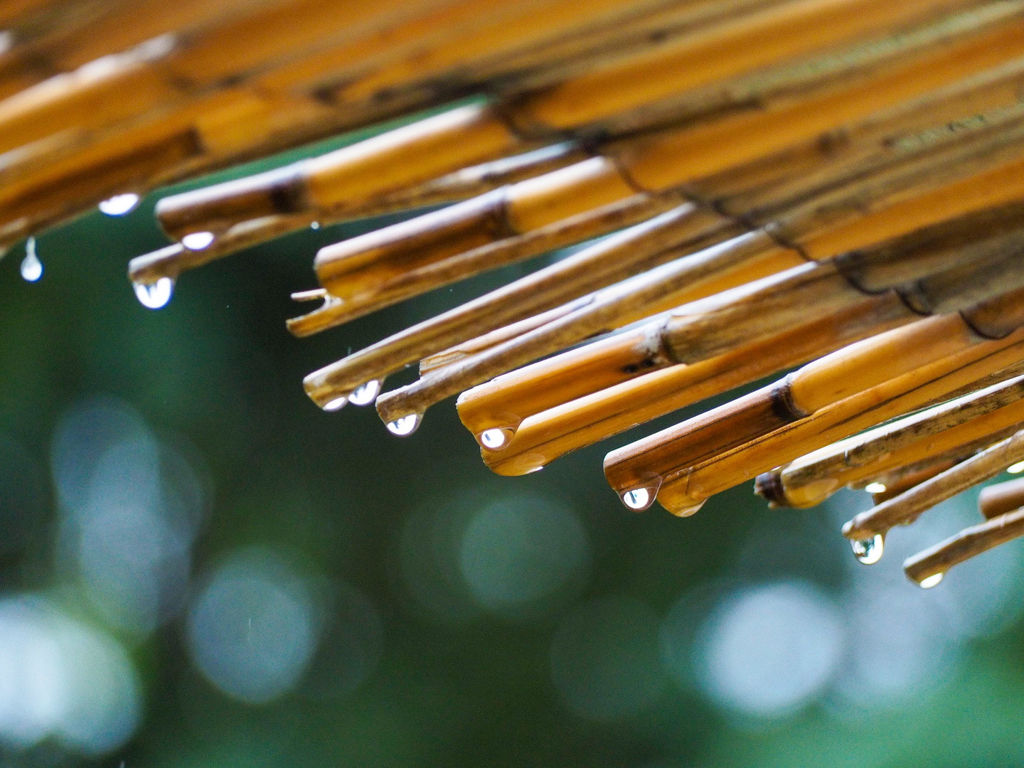 Sonnen- wird zum Regenschutz