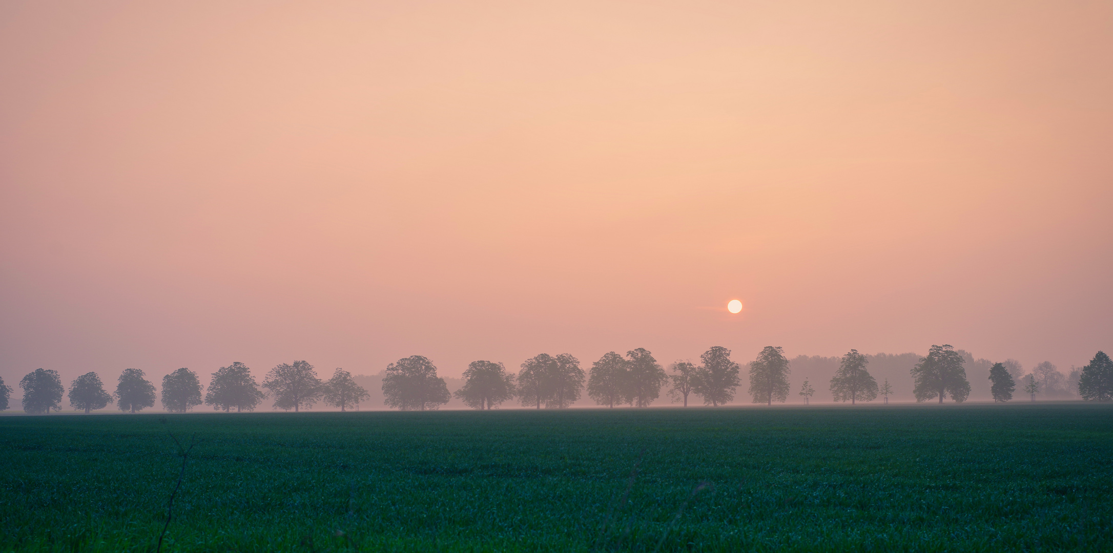 "Sonnenallee"