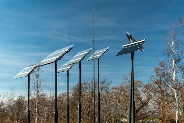 Sonnenanbeter am Carl-Alexander-Park