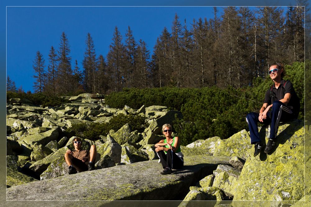 Sonnenanbeter am Steinernen Meer (Böhmerwald)