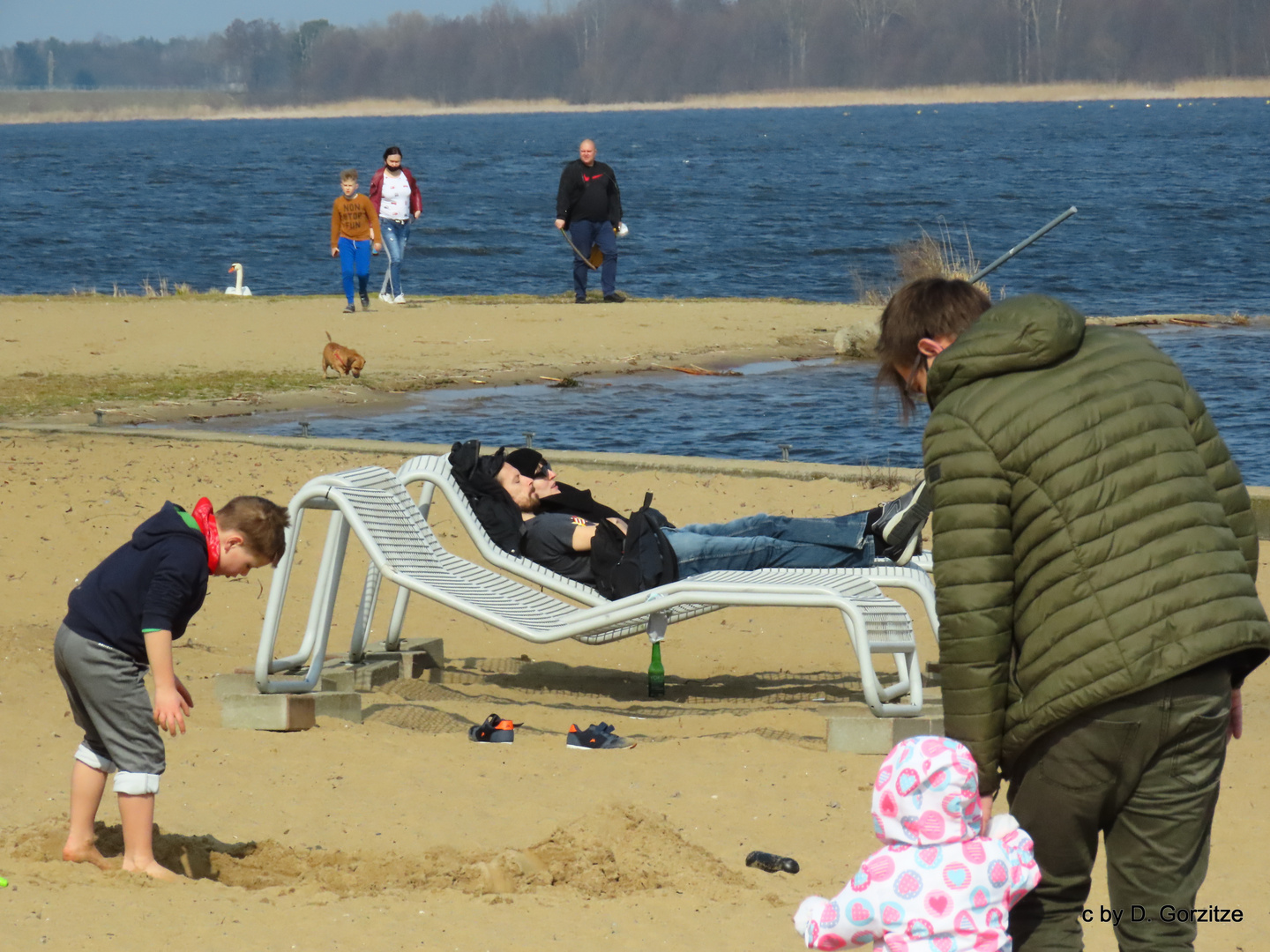 Sonnenanbeter im März !