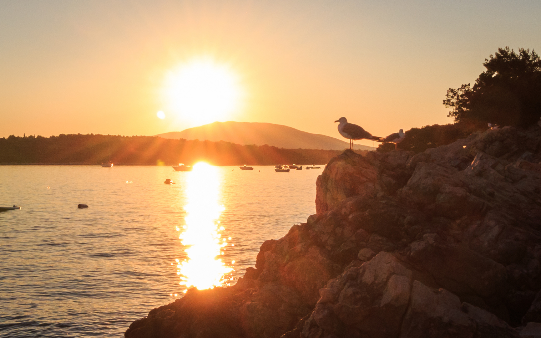 Sonnenanbeter in der Abenddämmerung