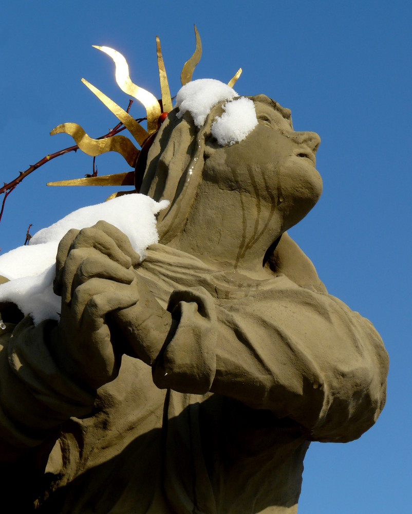 "Sonnenanbeterin" im Schnee