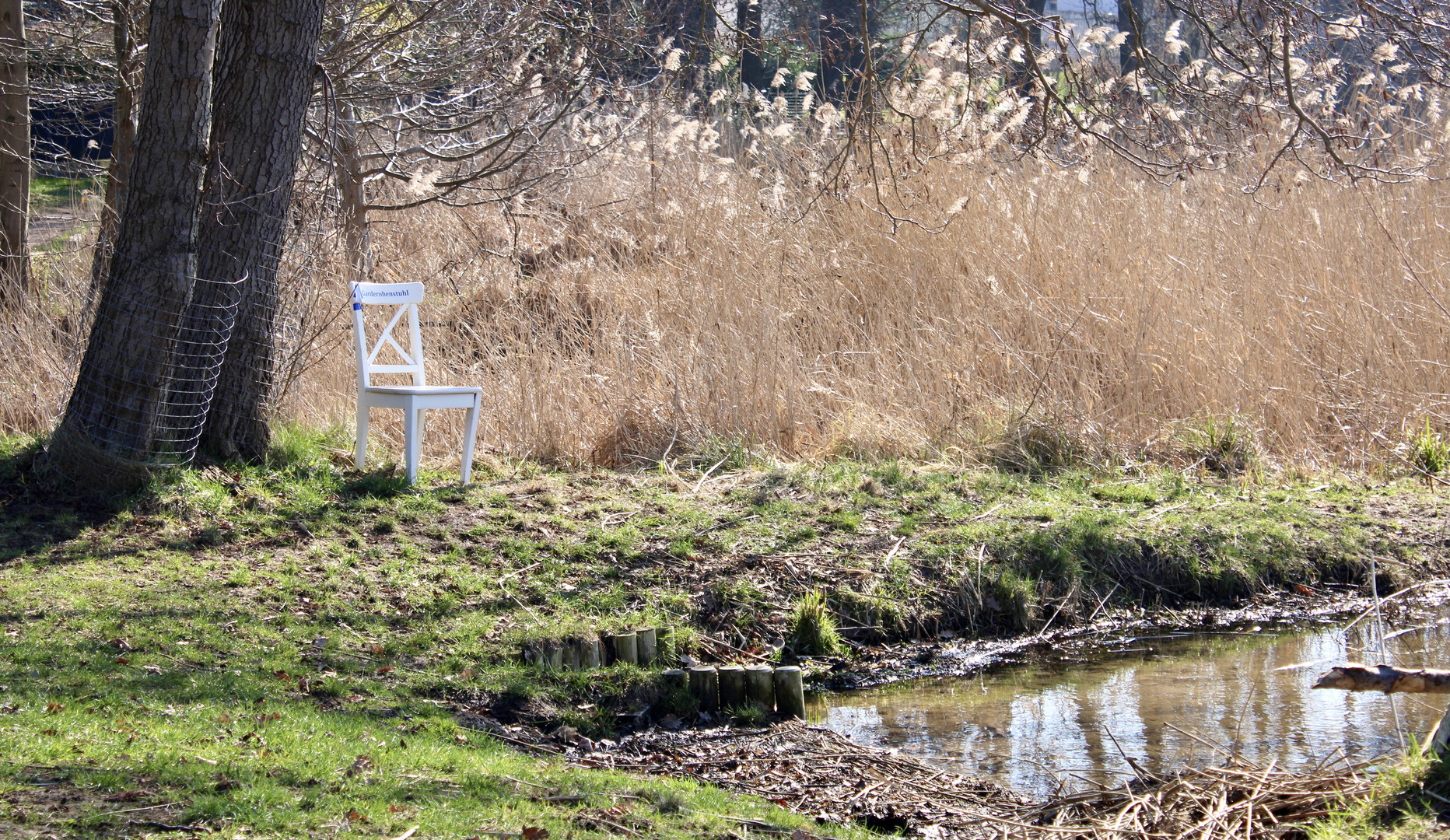 Sonnenanbeterstuhl am Kleinen Stielitzer See