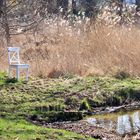 Sonnenanbeterstuhl am Kleinen Stielitzer See