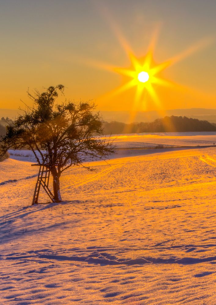 Sonnenaufgang Foto Bild sonnenuntergang b ume winter Sonnenaufgang Foto Bild sonnenuntergang b ume winter