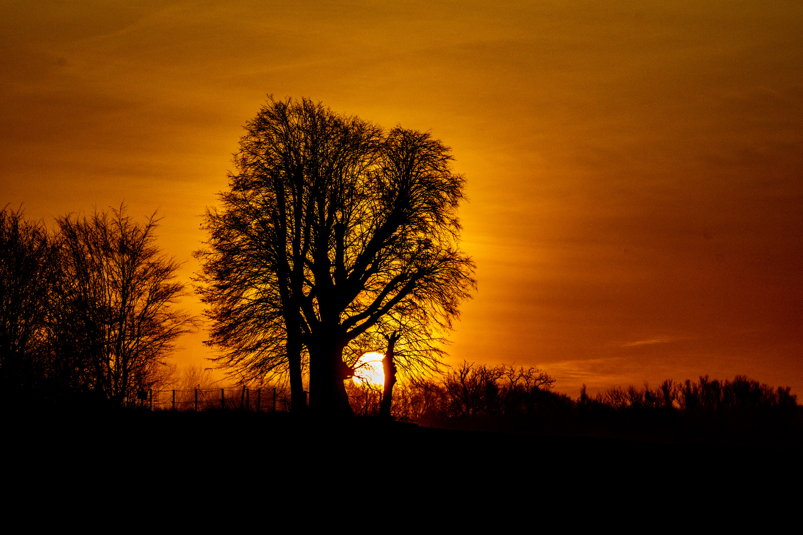 Sonnenaufgang 01012019