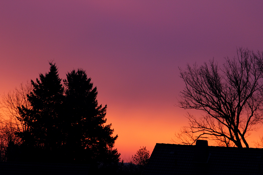 Sonnenaufgang 01.02.2014