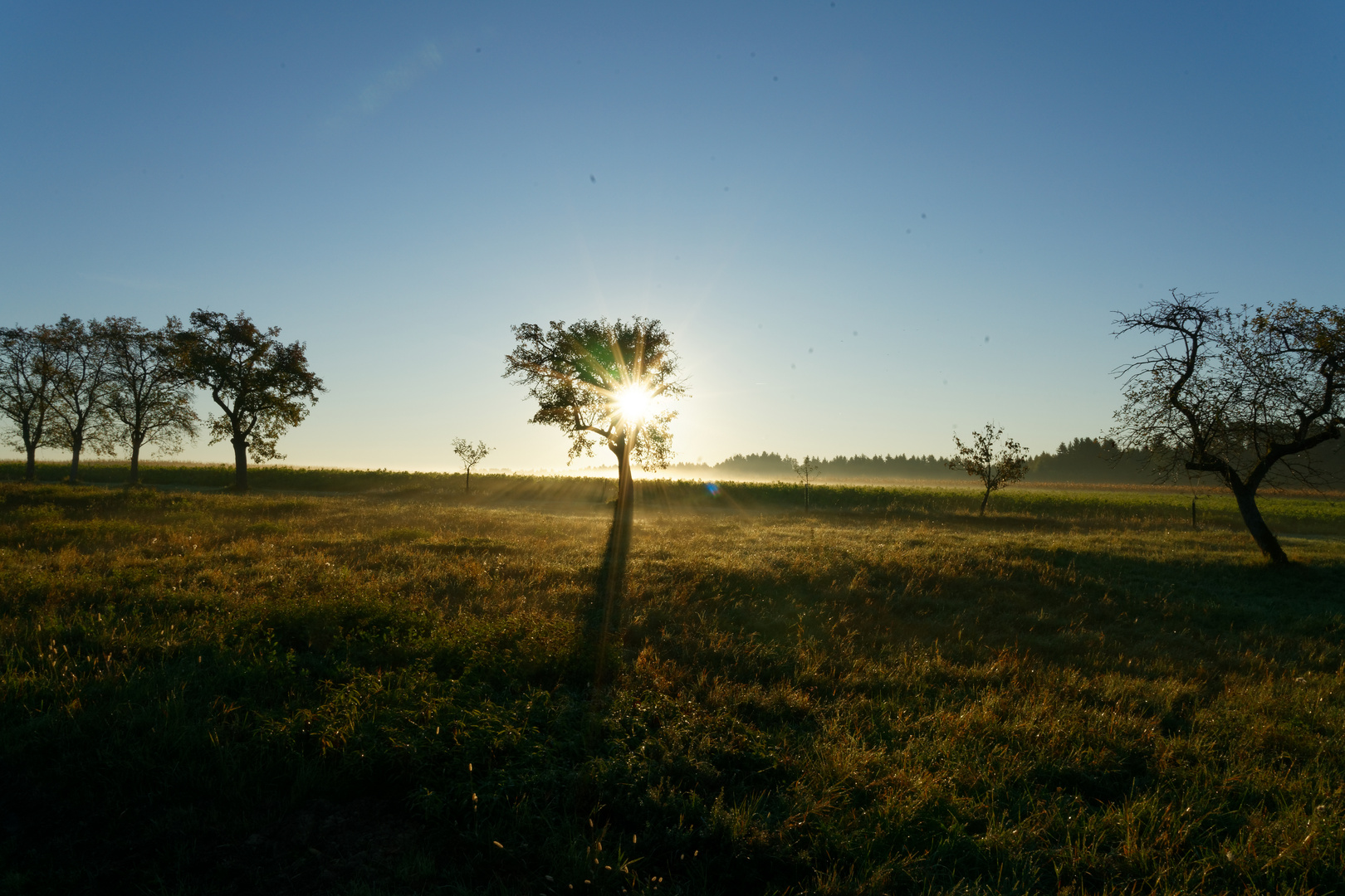 Sonnenaufgang 03