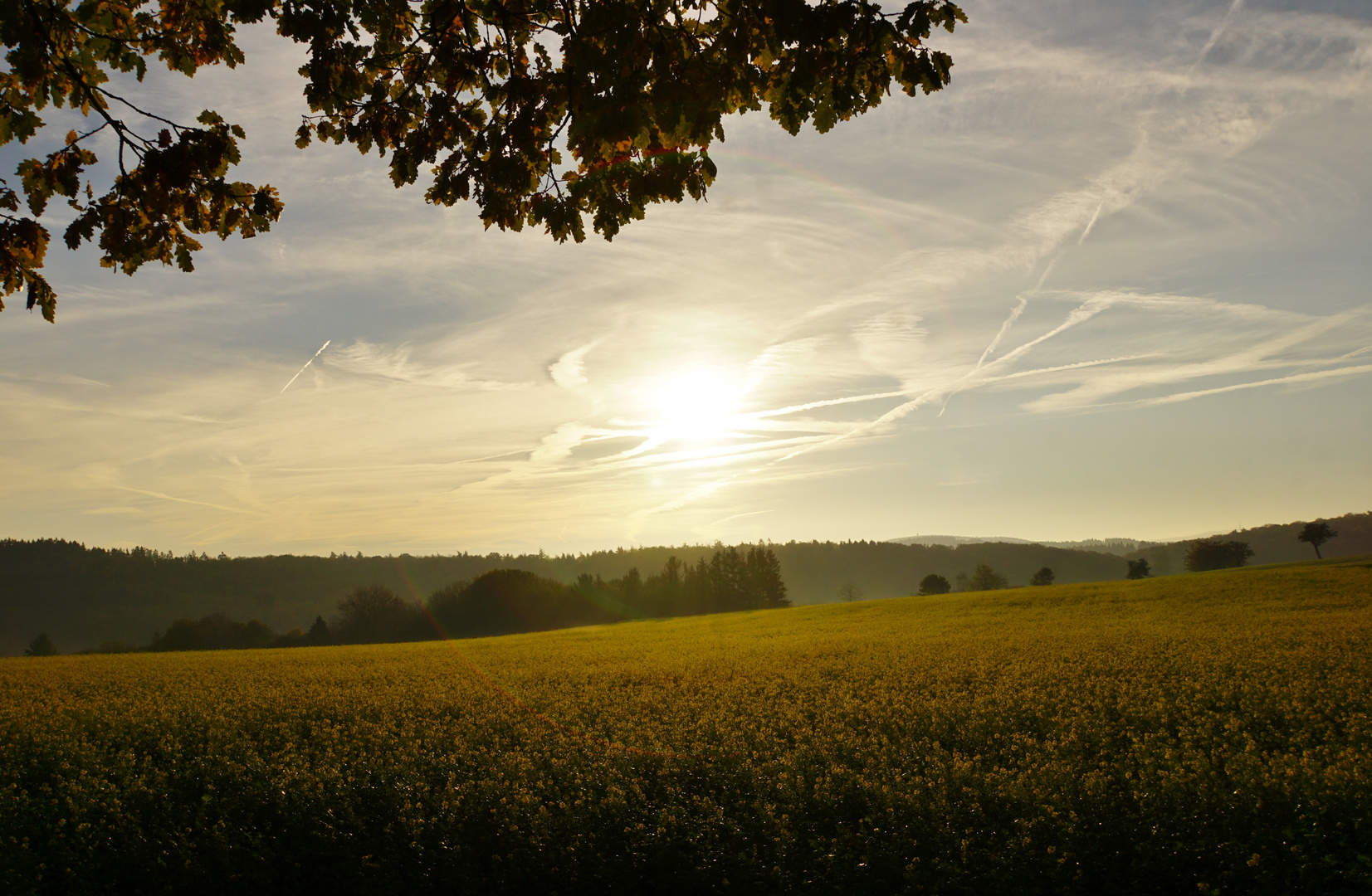 Sonnenaufgang 03.11.2018