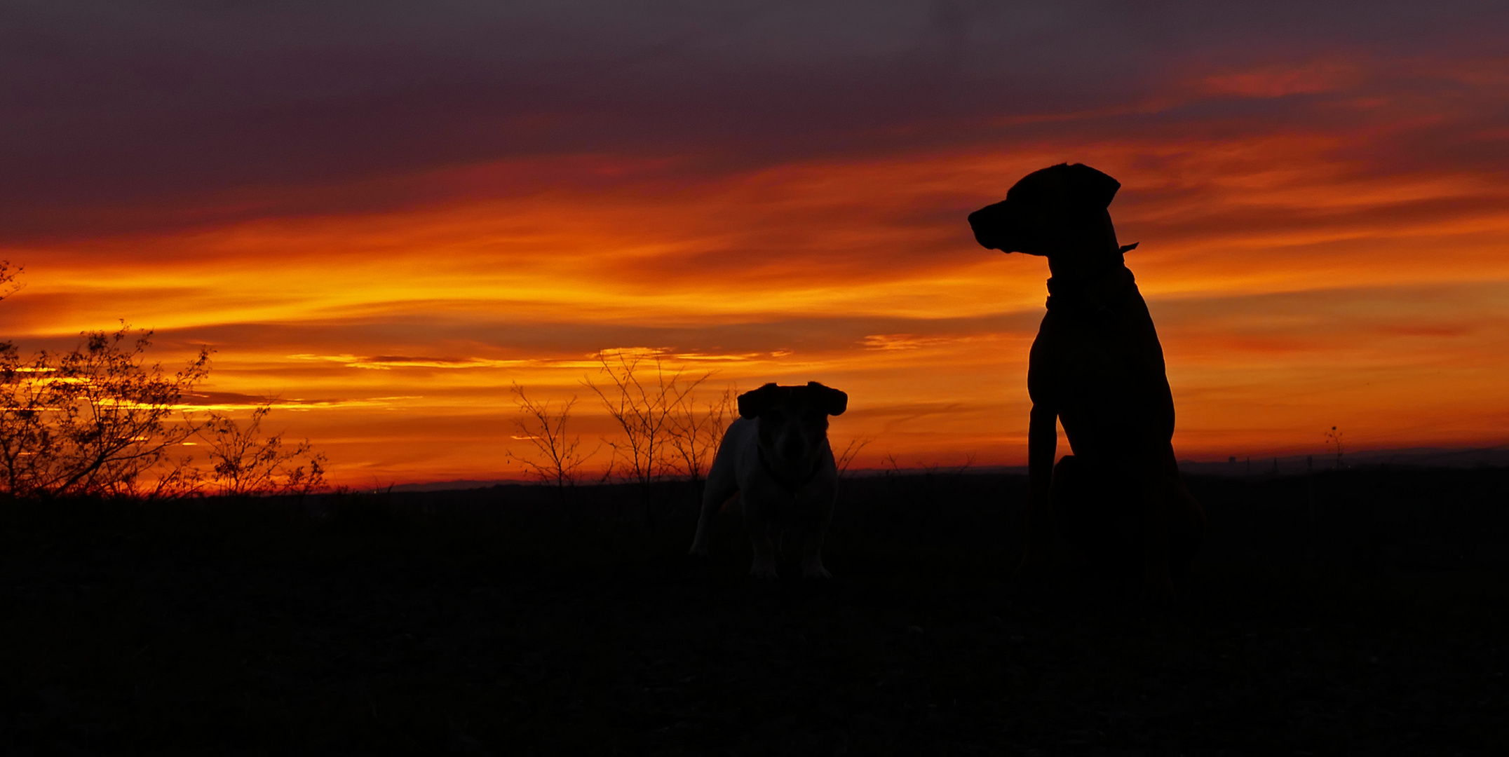 Sonnenaufgang.....