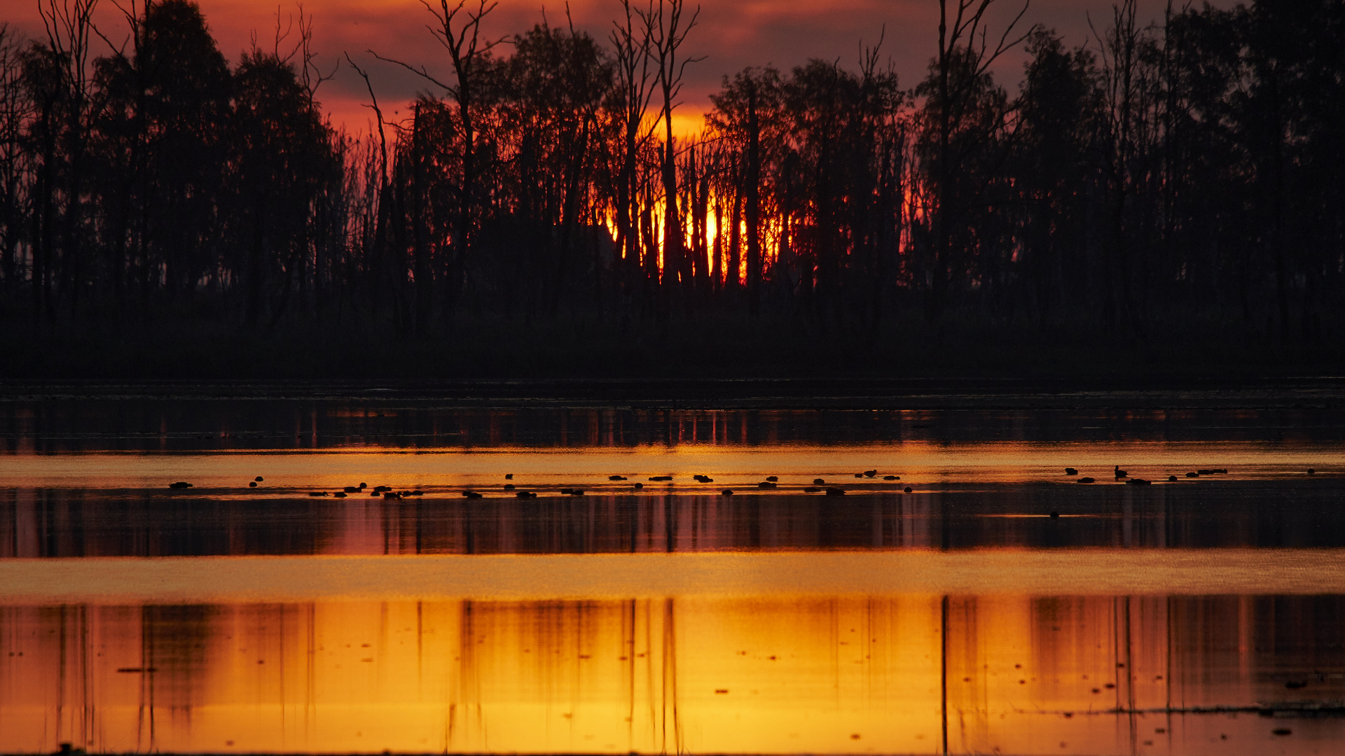 Sonnenaufgang